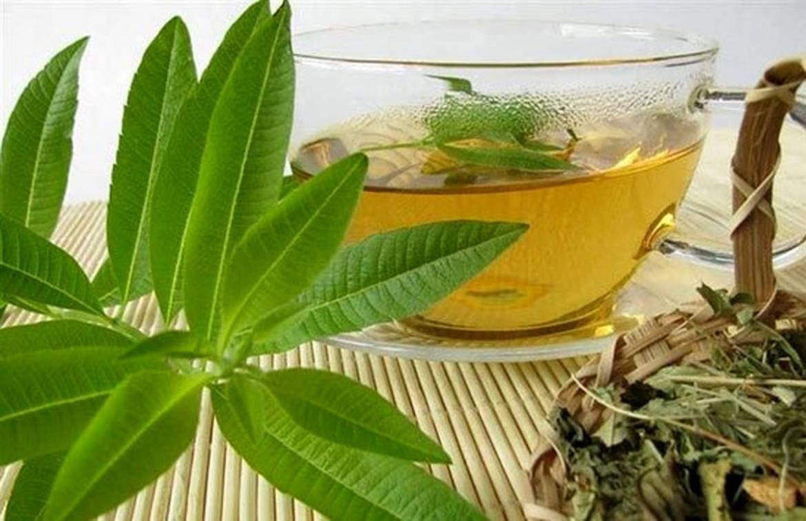 Types of Herb Louisa tea