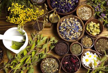 The best herbal teas to calm the nerves